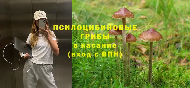 Галлюциногенные грибы Magic Shrooms  Сорск 